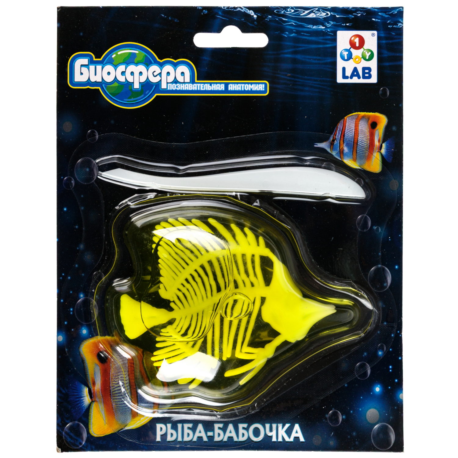 Игровой набор 1TOY LAB БИОсфера Познавательная анатомия Рыба-бабочка