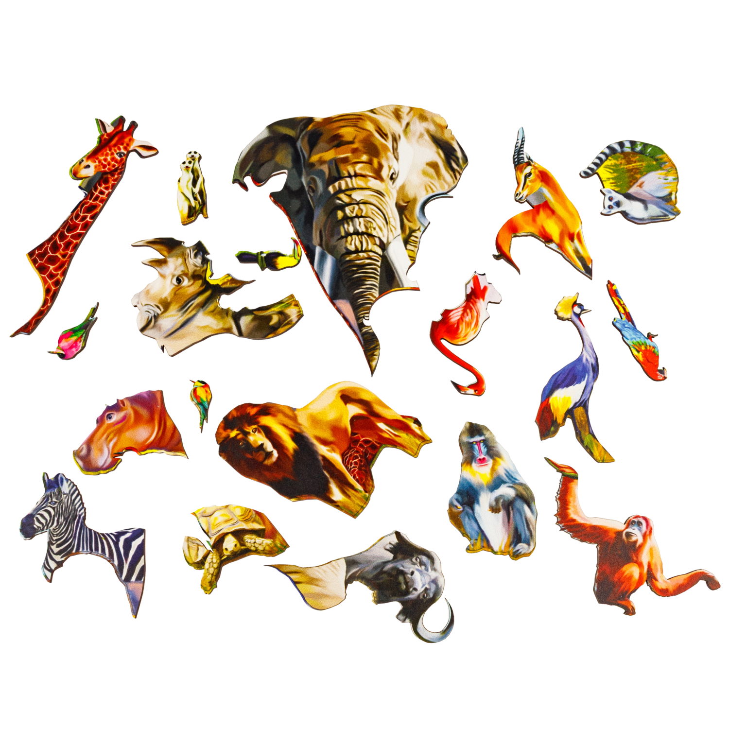 Деревянные пазлы Collection Sorter Африка, 19 деталей