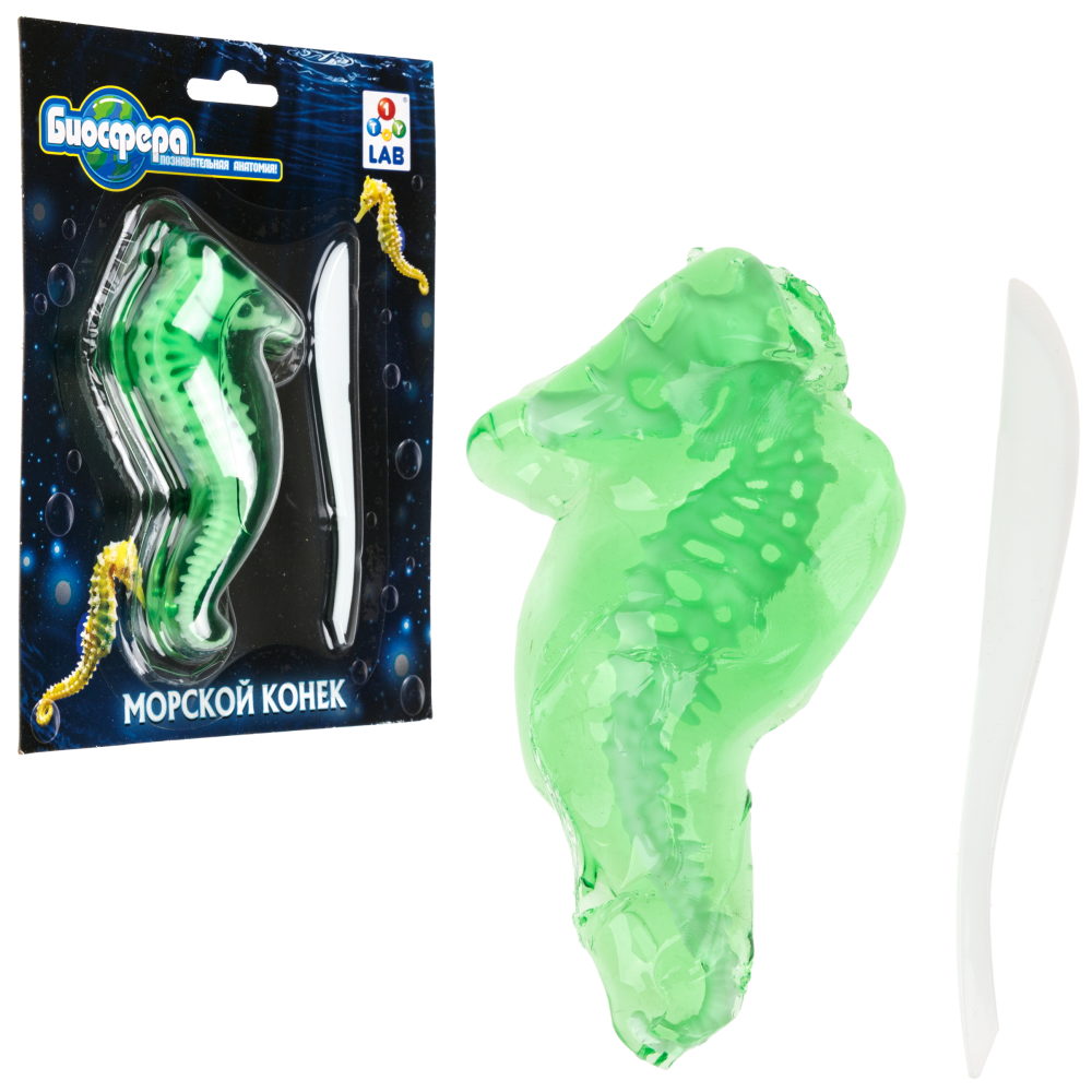 Игровой набор 1TOY LAB БИОсфера Познавательная анатомия Морской конек