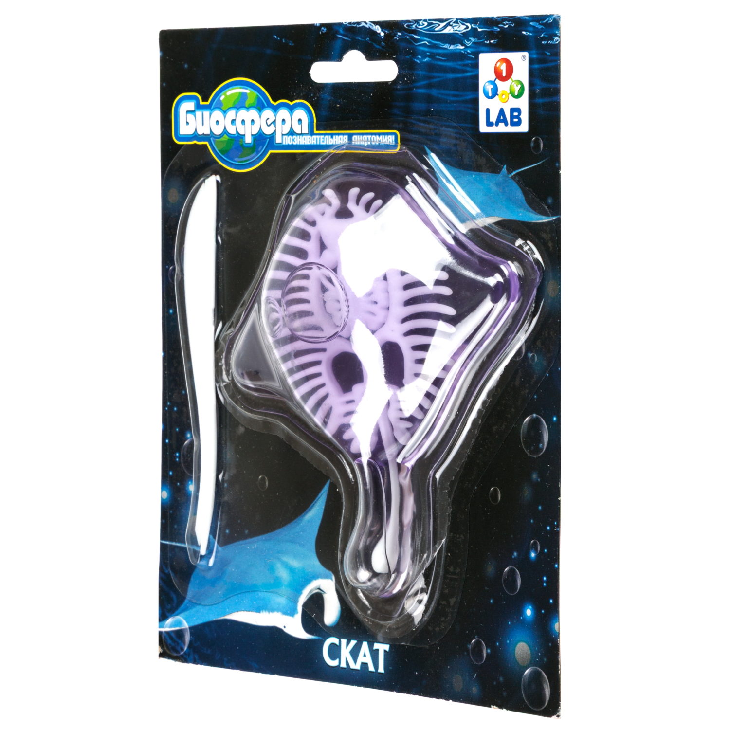 Игровой набор 1TOY LAB БИОсфера Познавательная анатомия Скат