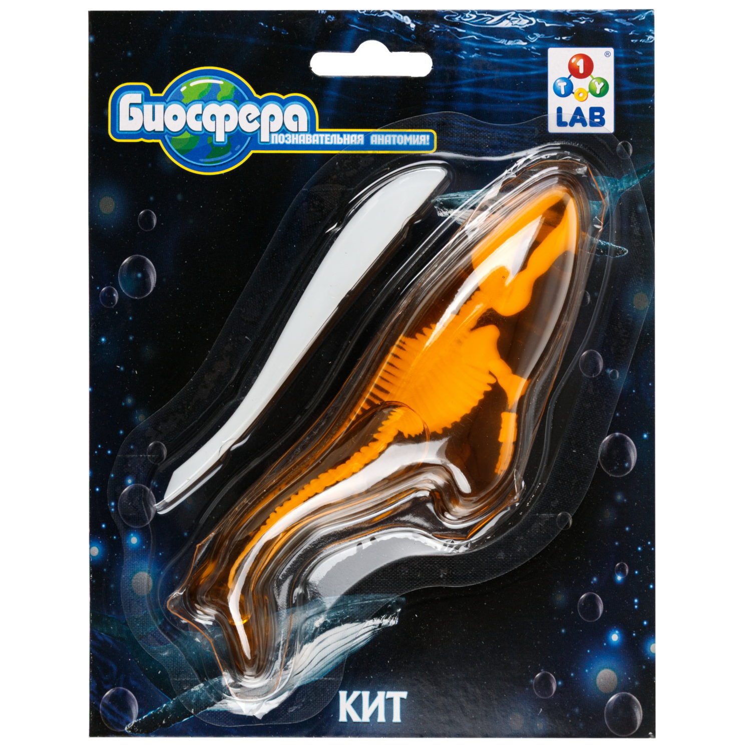 Игровой набор 1TOY LAB БИОсфера Познавательная анатомия Кит
