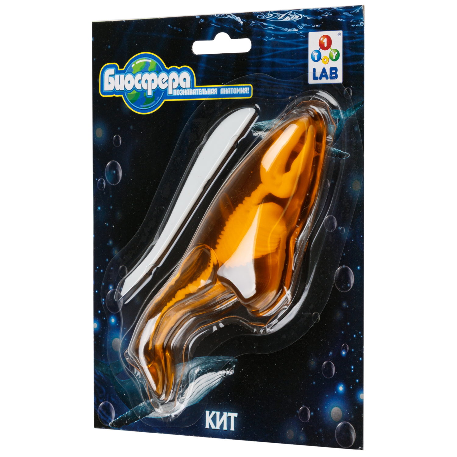 Игровой набор 1TOY LAB БИОсфера Познавательная анатомия Кит