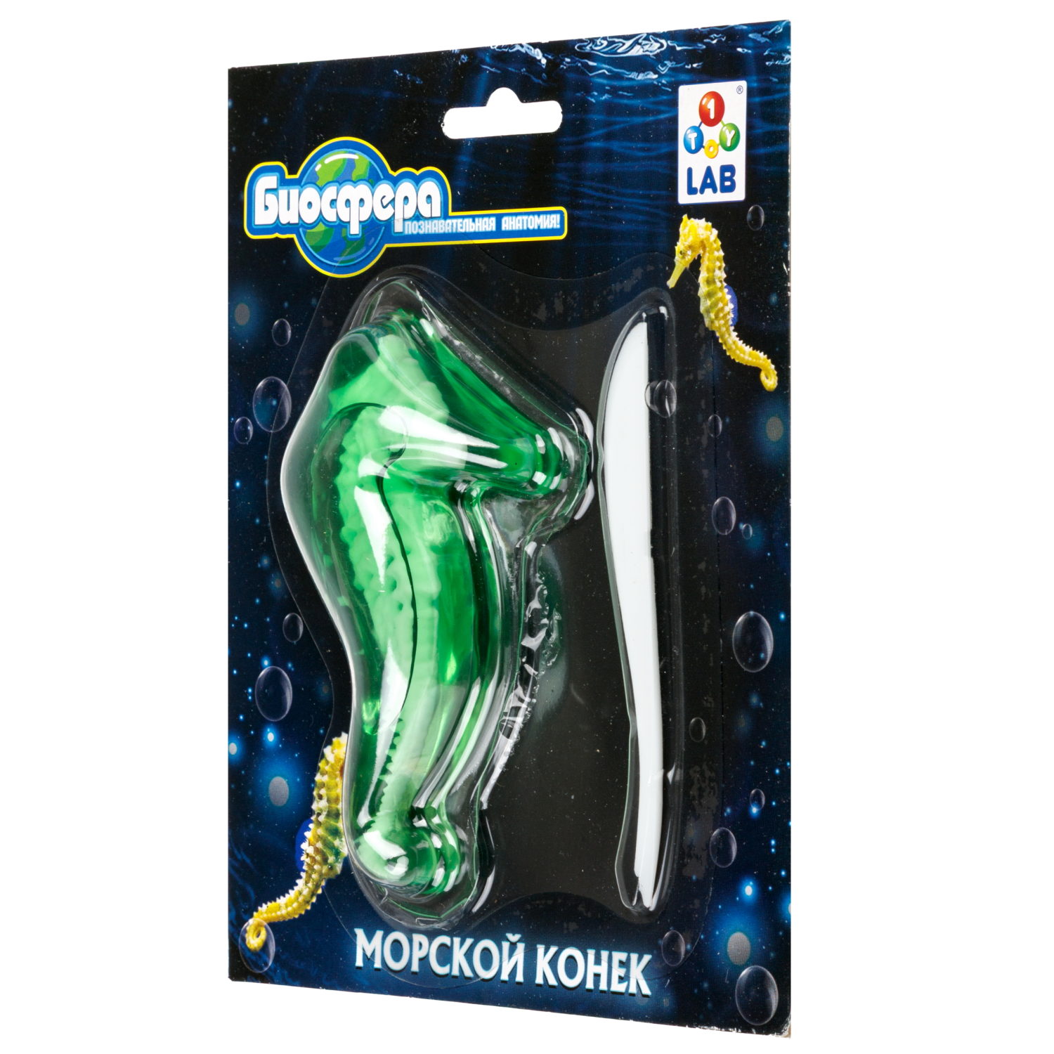 Игровой набор 1TOY LAB БИОсфера Познавательная анатомия Морской конек