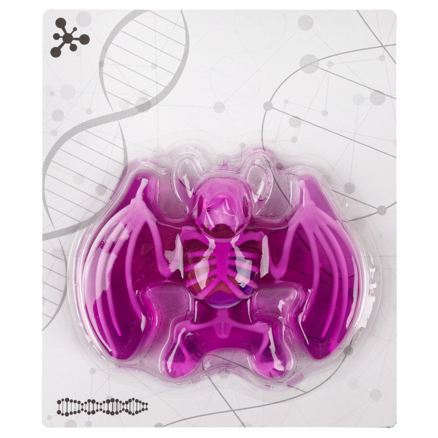 Игровой набор 1TOY LAB БИОсфера Познавательная анатомия Летучая мышь