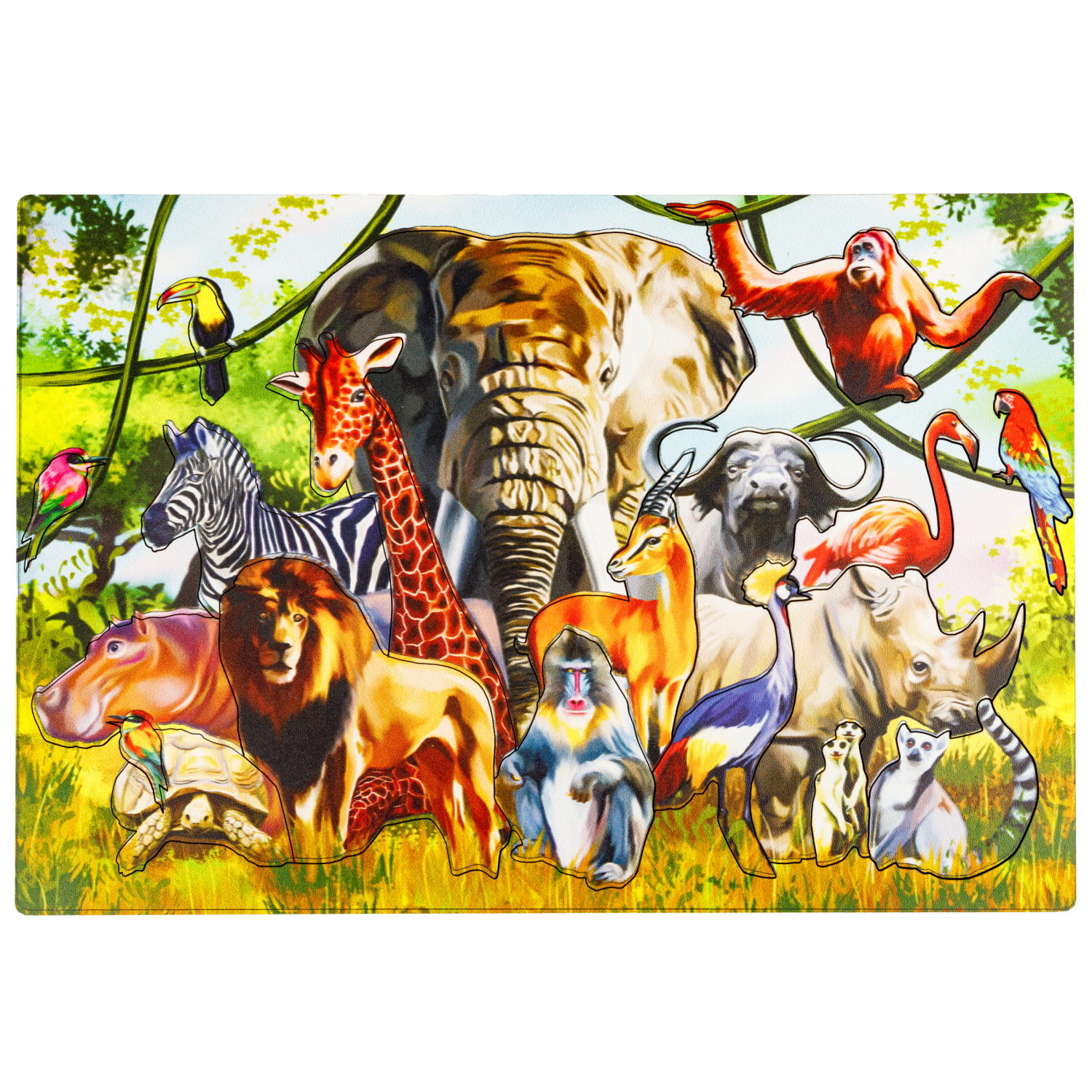 Деревянные пазлы Collection Sorter Африка, 19 деталей