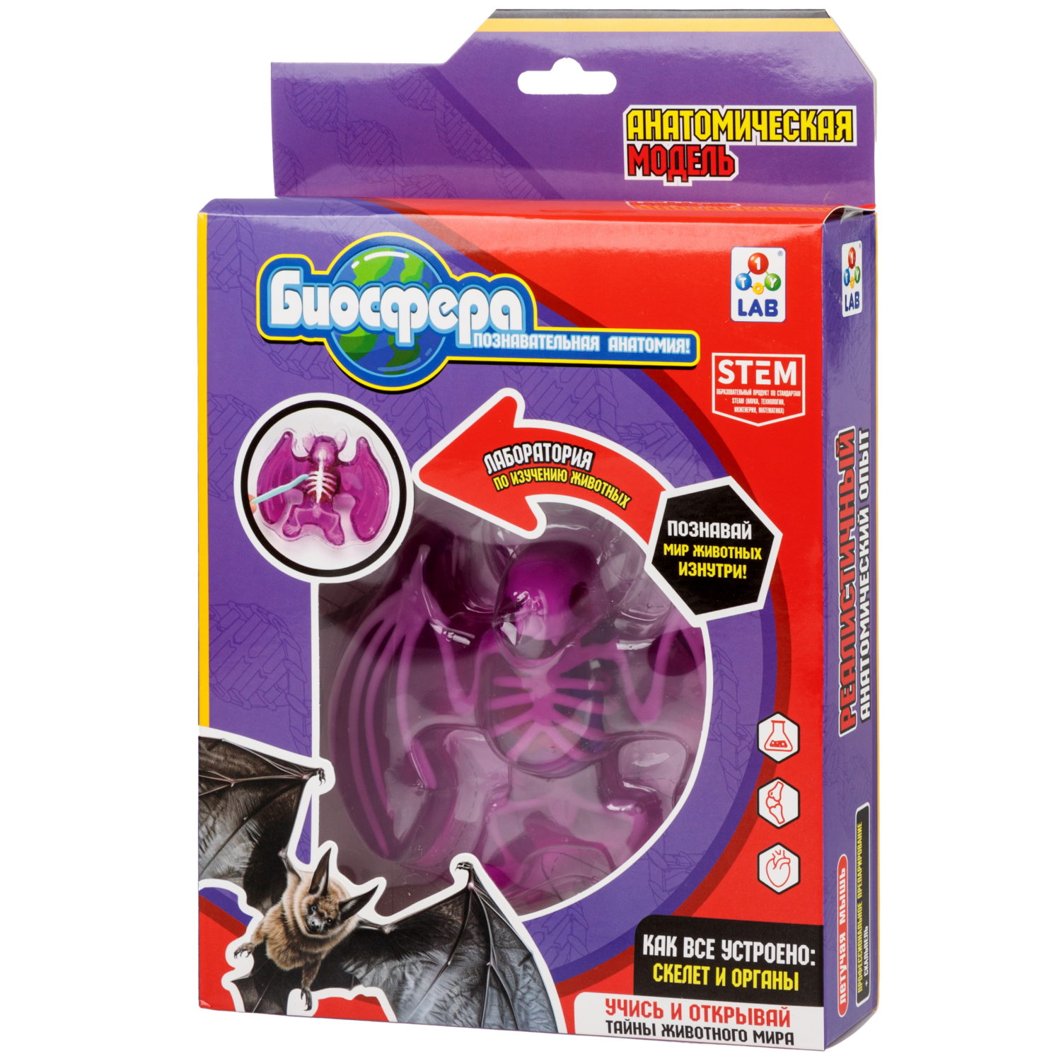 Игровой набор 1TOY LAB БИОсфера Познавательная анатомия Летучая мышь