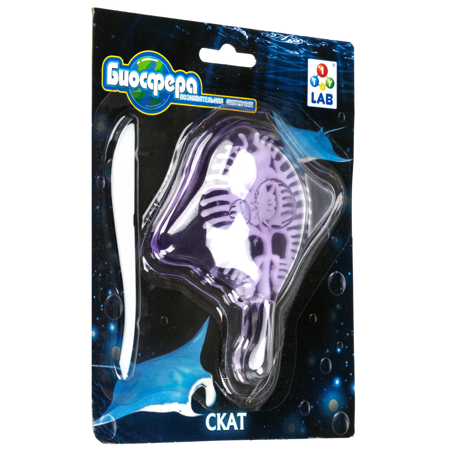 Игровой набор 1TOY LAB БИОсфера Познавательная анатомия Скат
