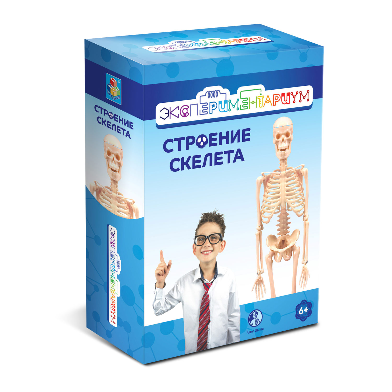 Научный набор для опытов 1TOY ЭКСПЕРИМЕНТАРИУМ Строение скелета, эксперименты для детей, подарок для мальчиков и девочек, интересные штучки