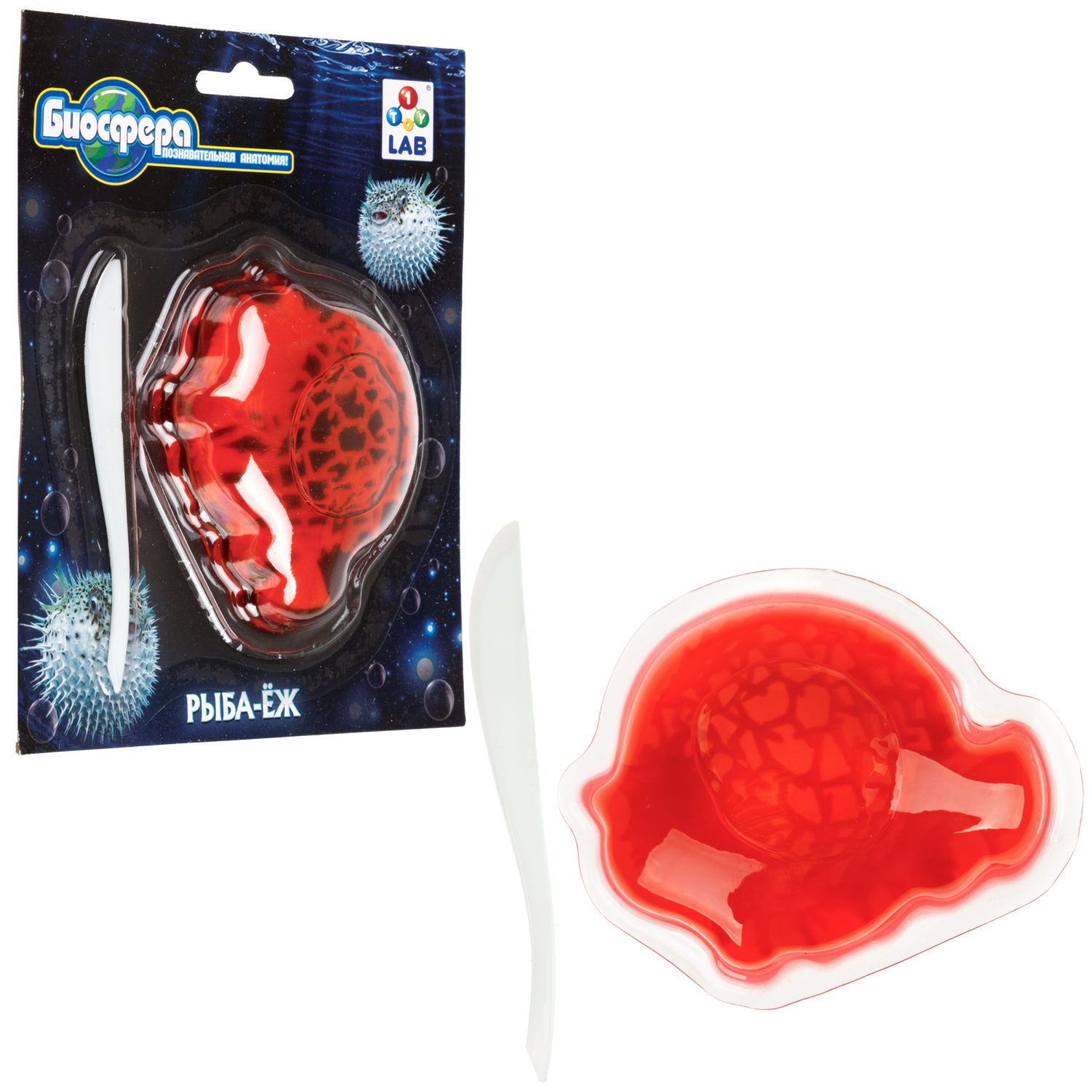 Игровой набор 1TOY LAB БИОсфера Познавательная анатомия Рыба-ёж