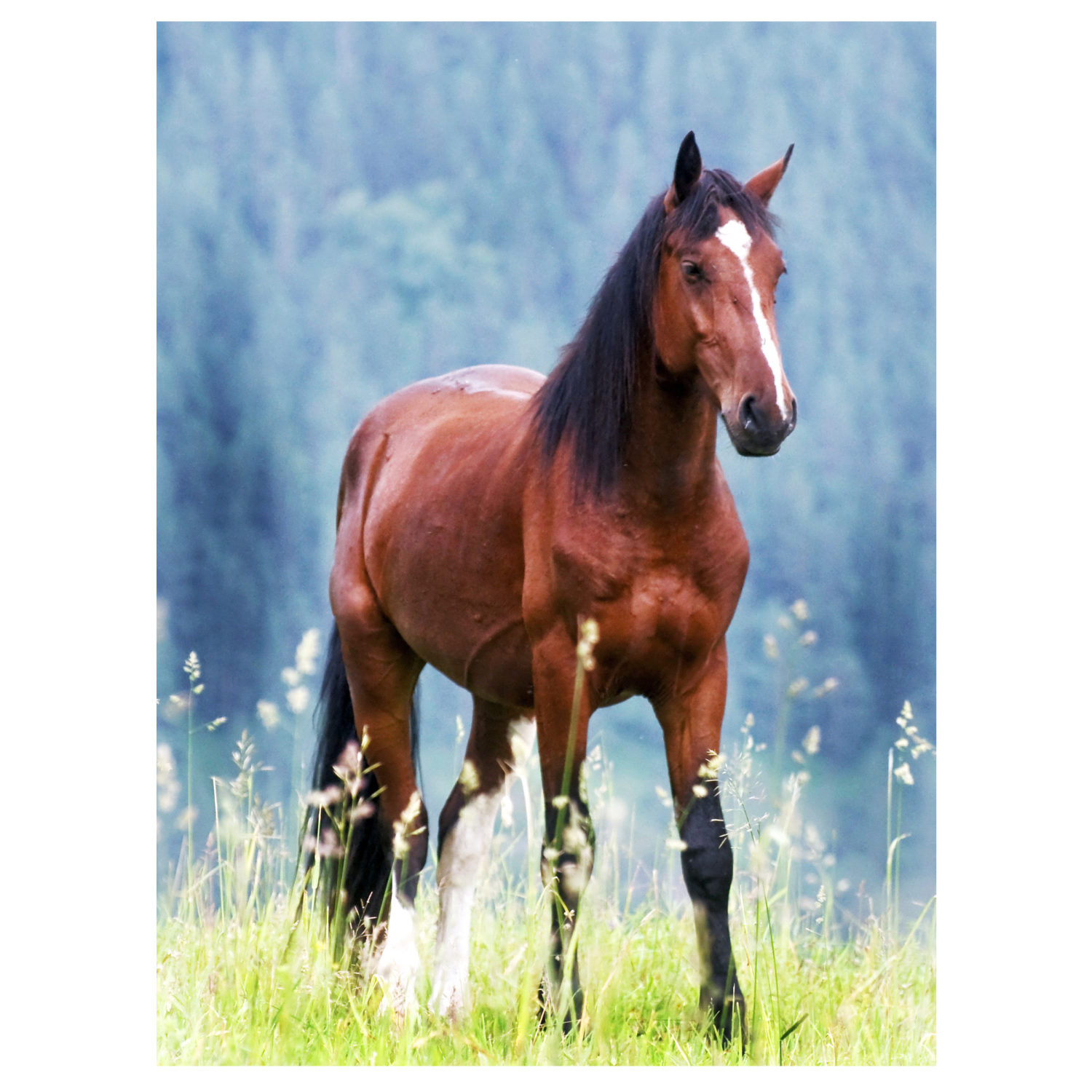 Деревянные пазлы Collection Animals Лошадь в горах, 113 деталей, 19х25см