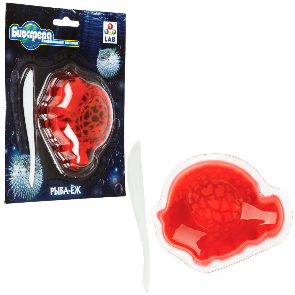 Игровой набор 1TOY LAB БИОсфера Познавательная анатомия Рыба-ёж