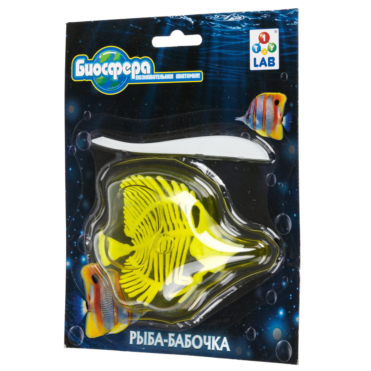 Игровой набор 1TOY LAB БИОсфера Познавательная анатомия Рыба-бабочка