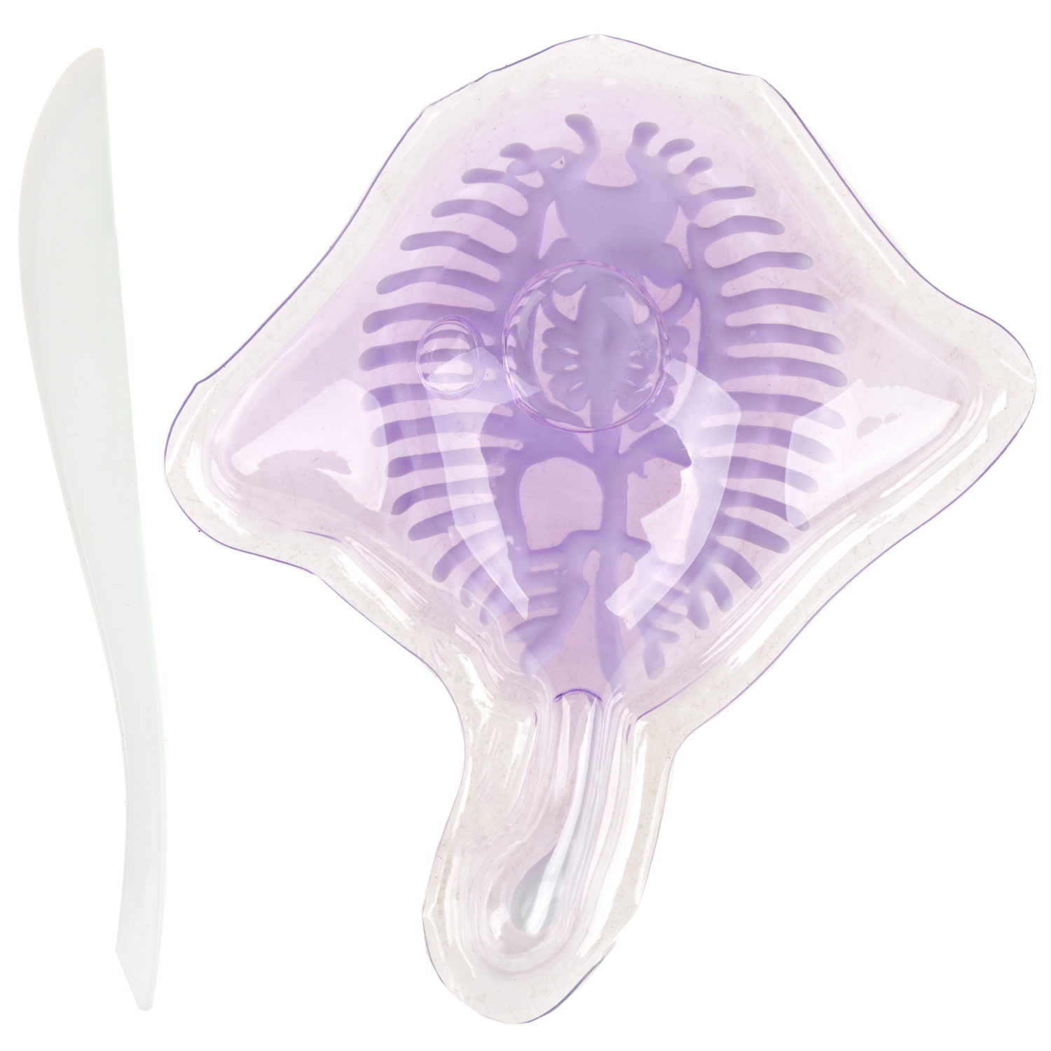 Игровой набор 1TOY LAB БИОсфера Познавательная анатомия Скат