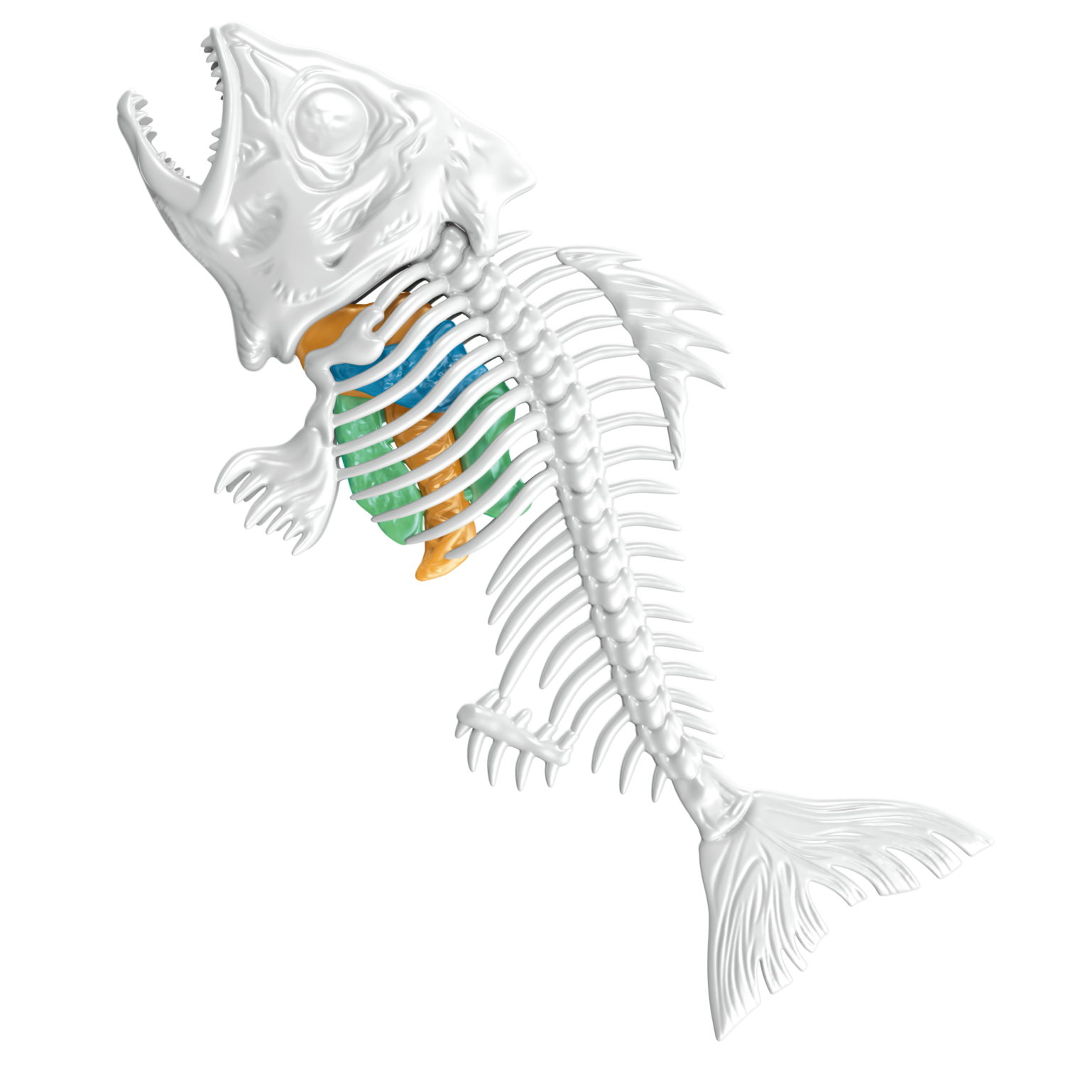 Игровой набор 1TOY LAB БИОсфера Познавательная анатомия Пиранья