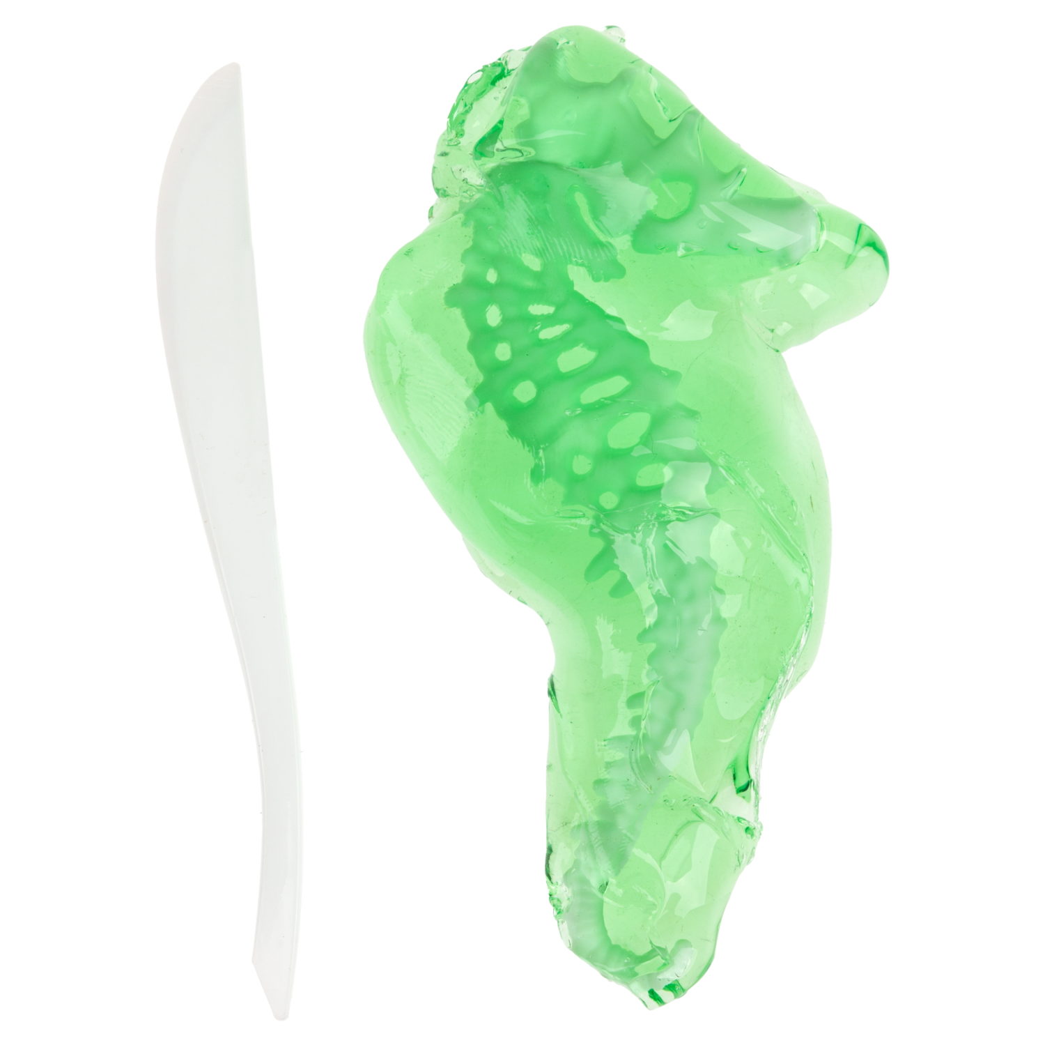 Игровой набор 1TOY LAB БИОсфера Познавательная анатомия Морской конек