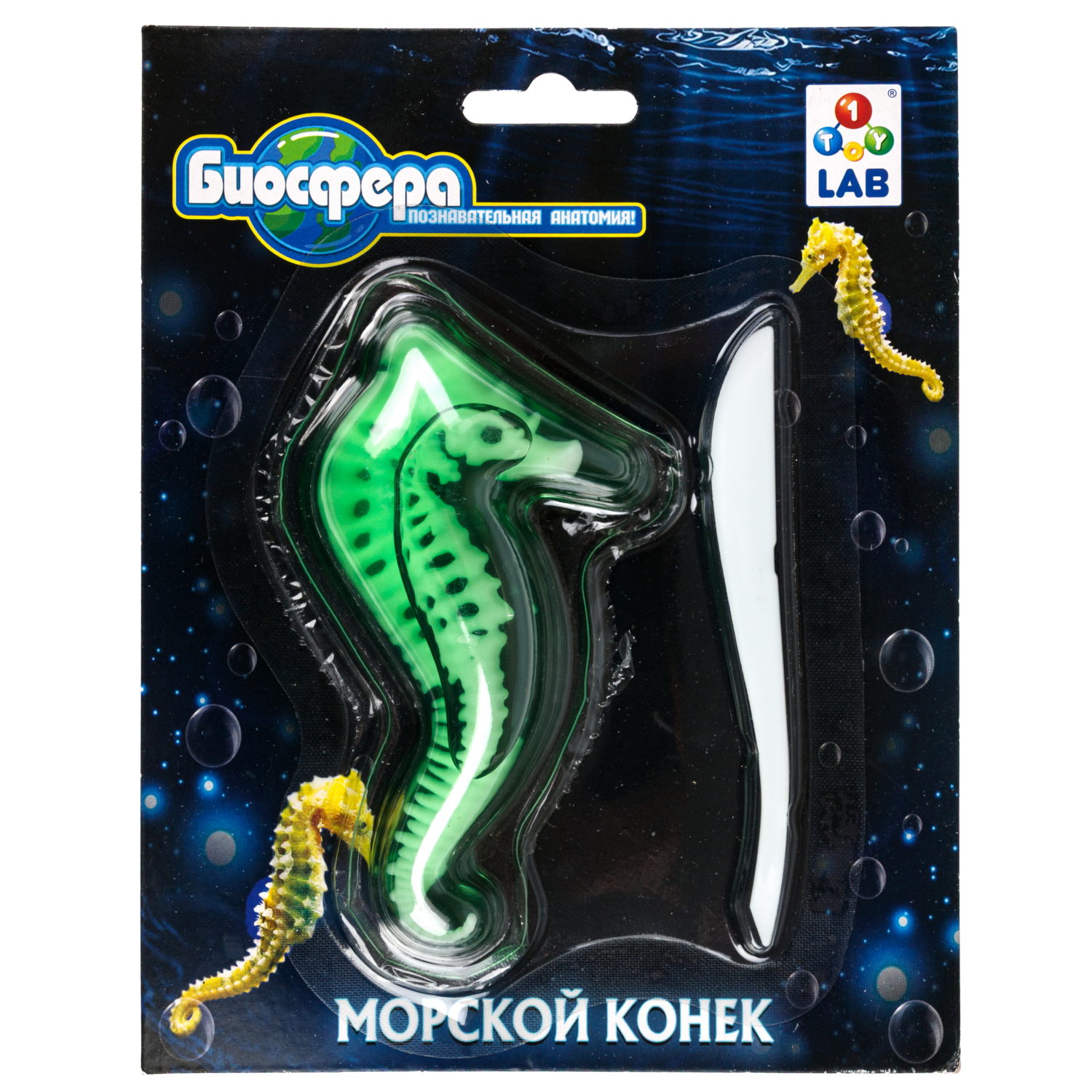 Игровой набор 1TOY LAB БИОсфера Познавательная анатомия Морской конек