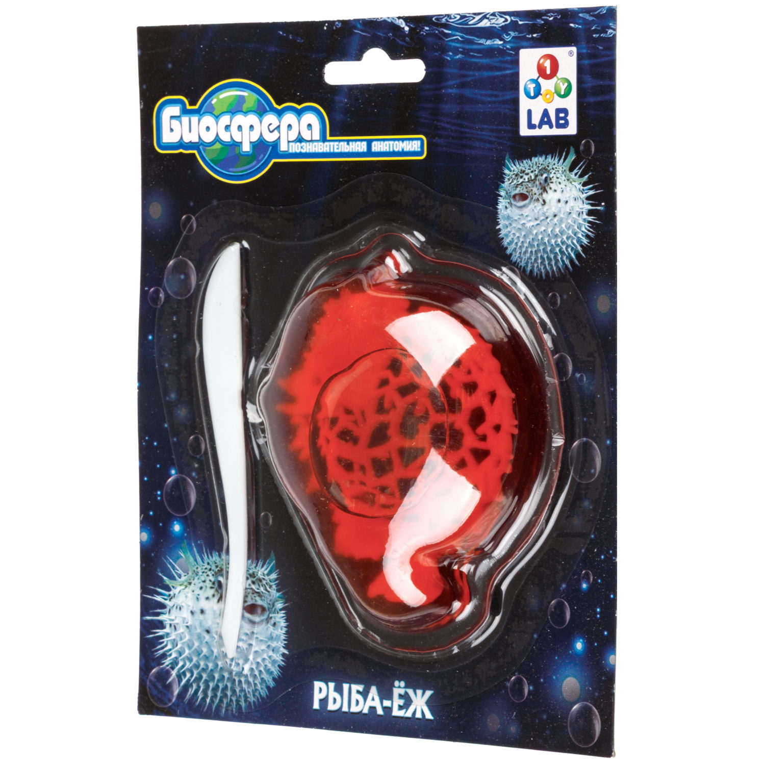 Игровой набор 1TOY LAB БИОсфера Познавательная анатомия Рыба-ёж