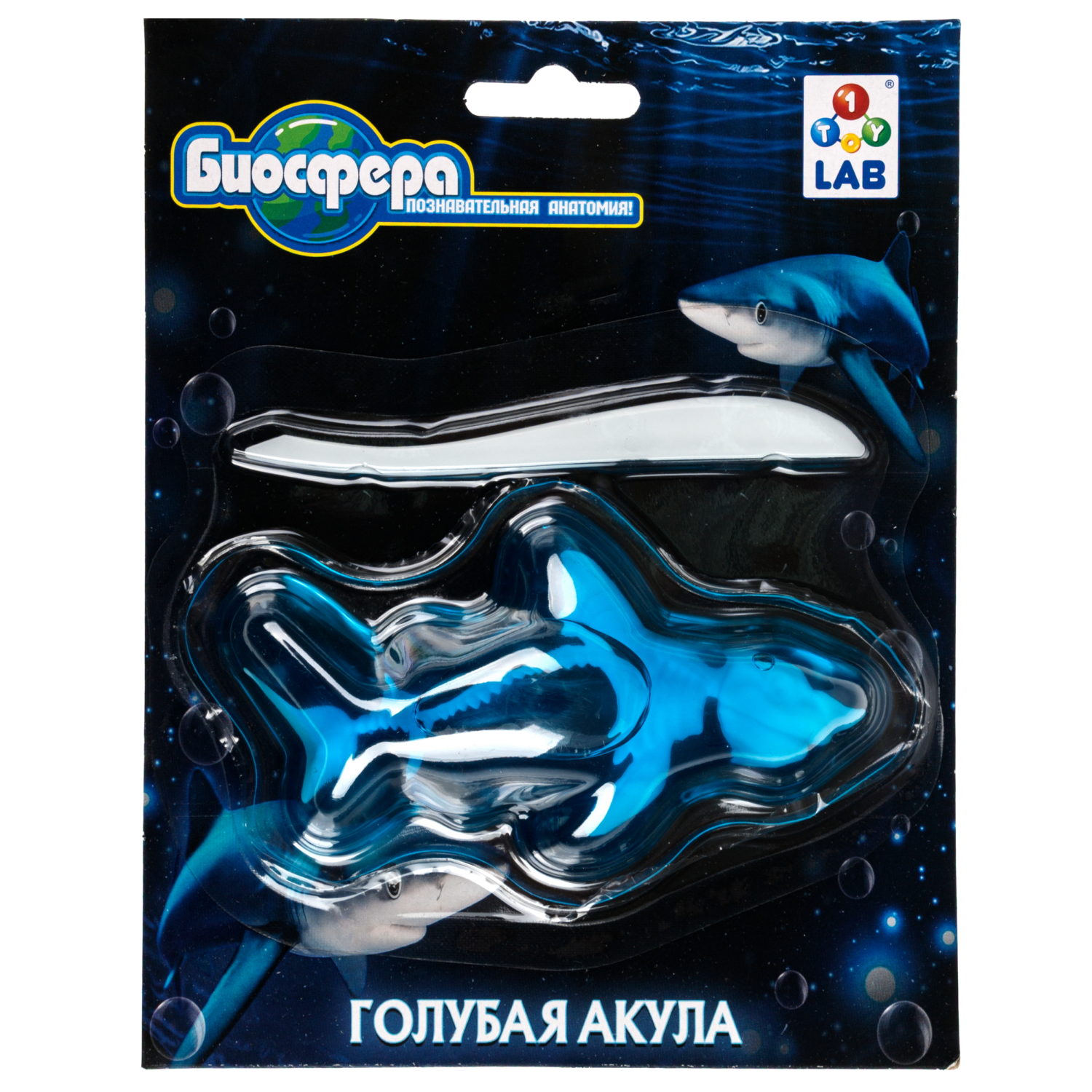 Игровой набор 1TOY LAB БИОсфера Познавательная анатомия Голубая акула