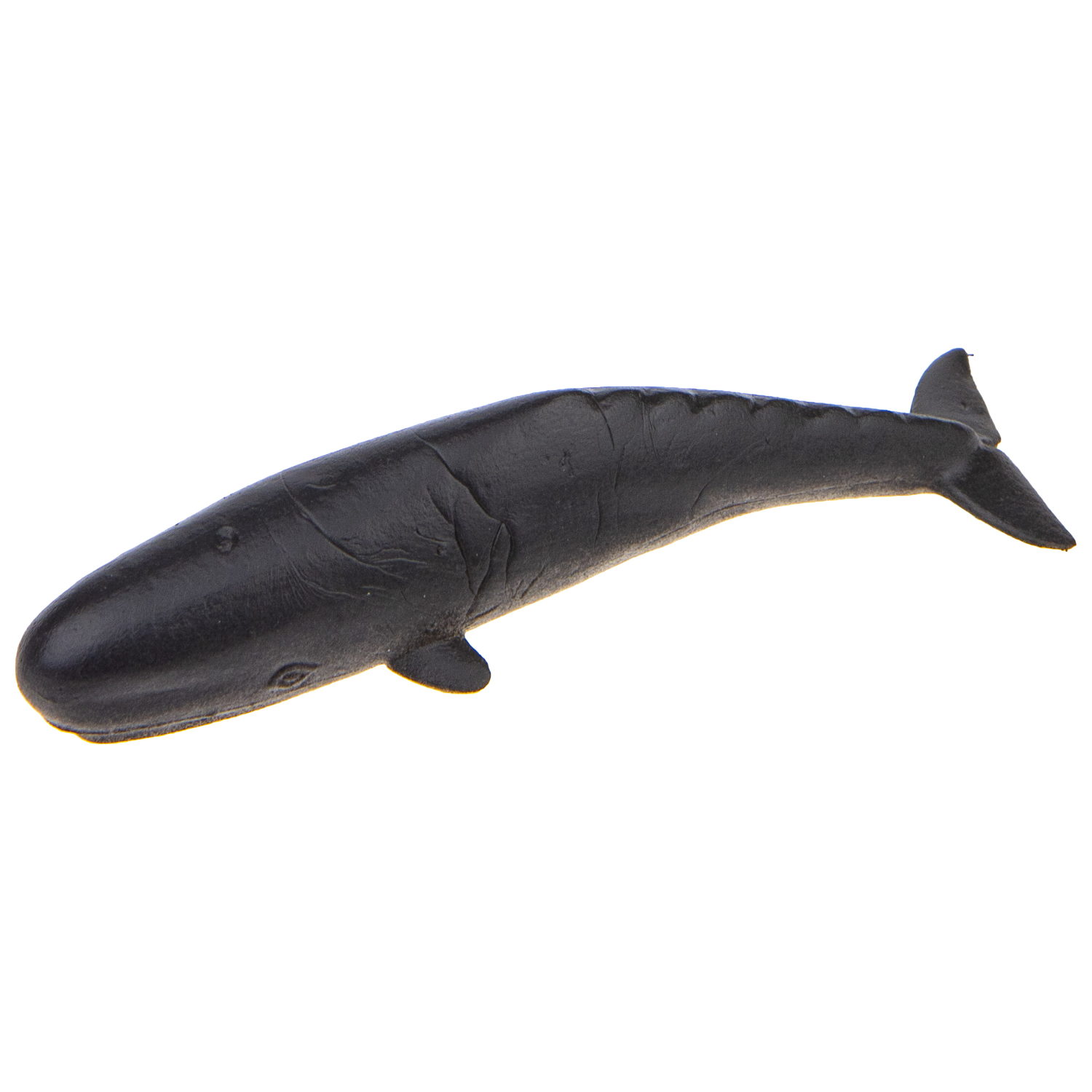 Набор фигурок 1TOY "В мире животных", морские животные океанов, 8 шт., 5 см