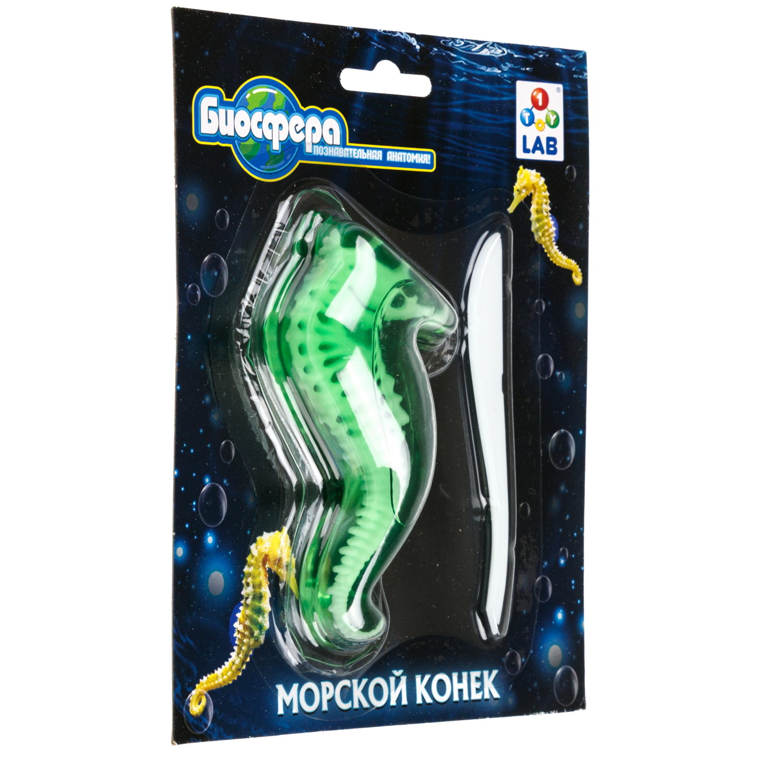 Игровой набор 1TOY LAB БИОсфера Познавательная анатомия Морской конек