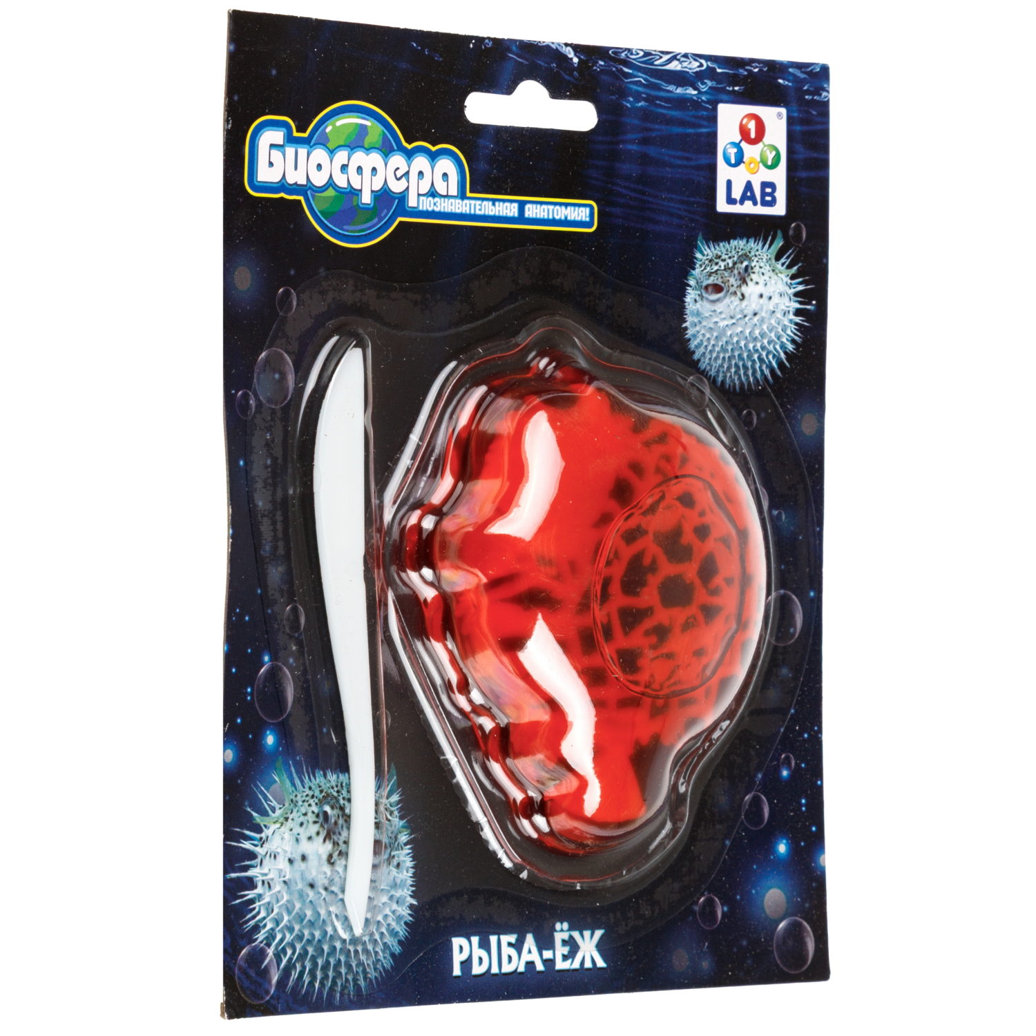 Игровой набор 1TOY LAB БИОсфера Познавательная анатомия Рыба-ёж