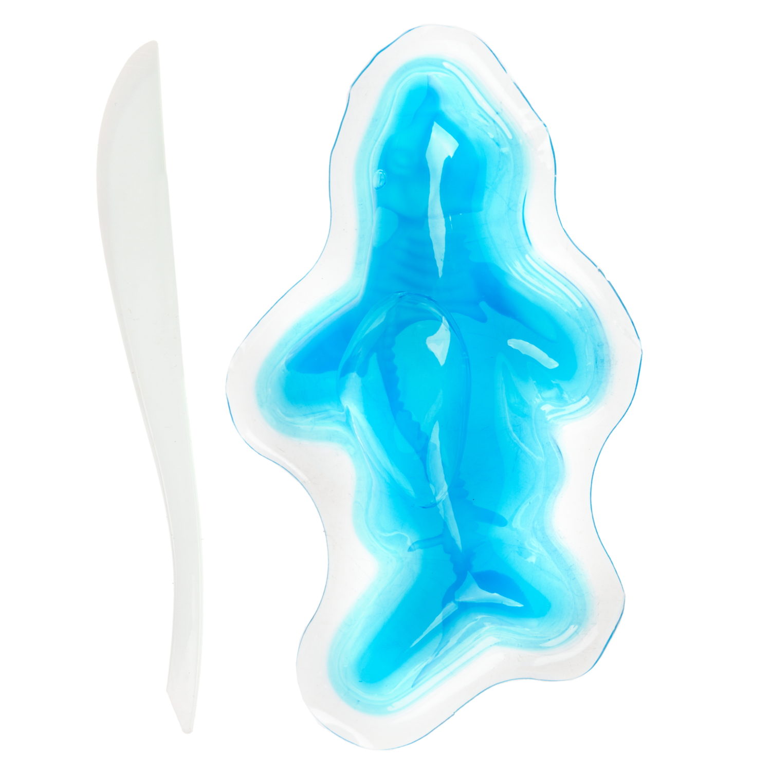 Игровой набор 1TOY LAB БИОсфера Познавательная анатомия Голубая акула