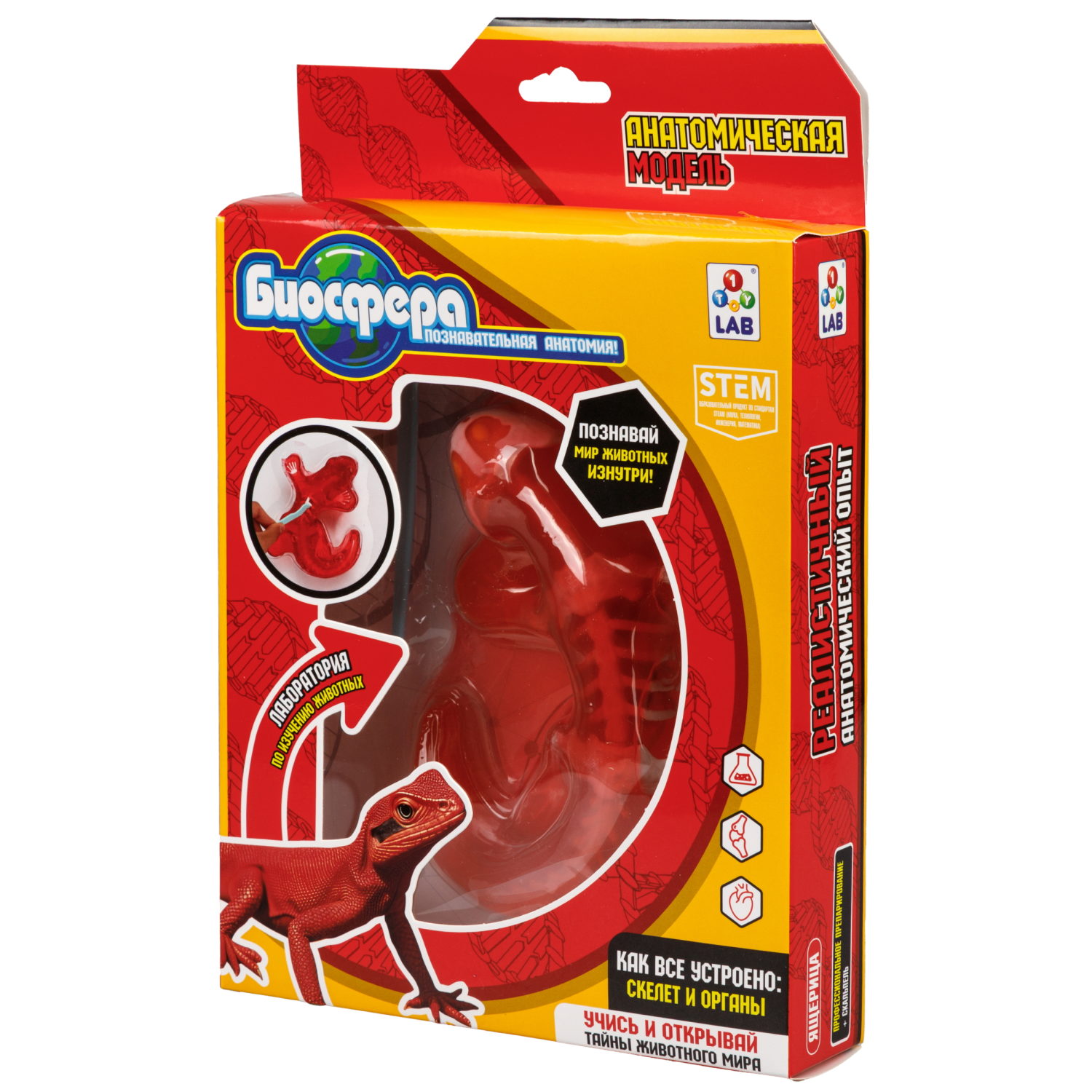 Игровой набор 1TOY LAB БИОсфера Познавательная анатомия Ящерица