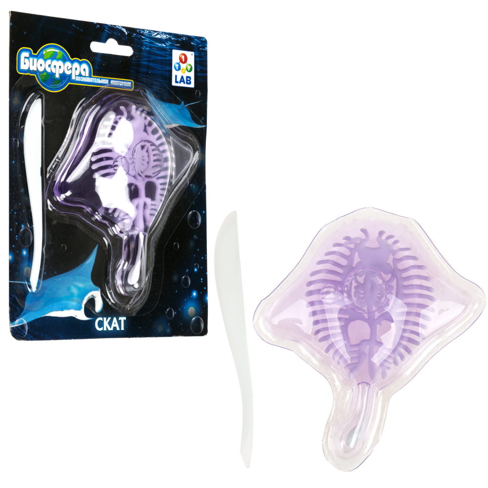 Игровой набор 1TOY LAB БИОсфера Познавательная анатомия Скат