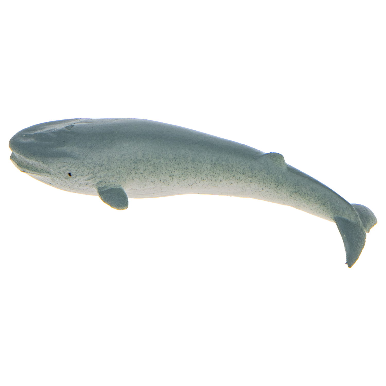 Набор фигурок 1TOY "В мире животных", морские животные океанов, 8 шт., 5 см