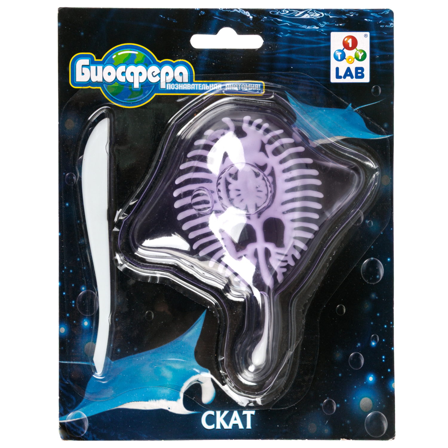 Игровой набор 1TOY LAB БИОсфера Познавательная анатомия Скат