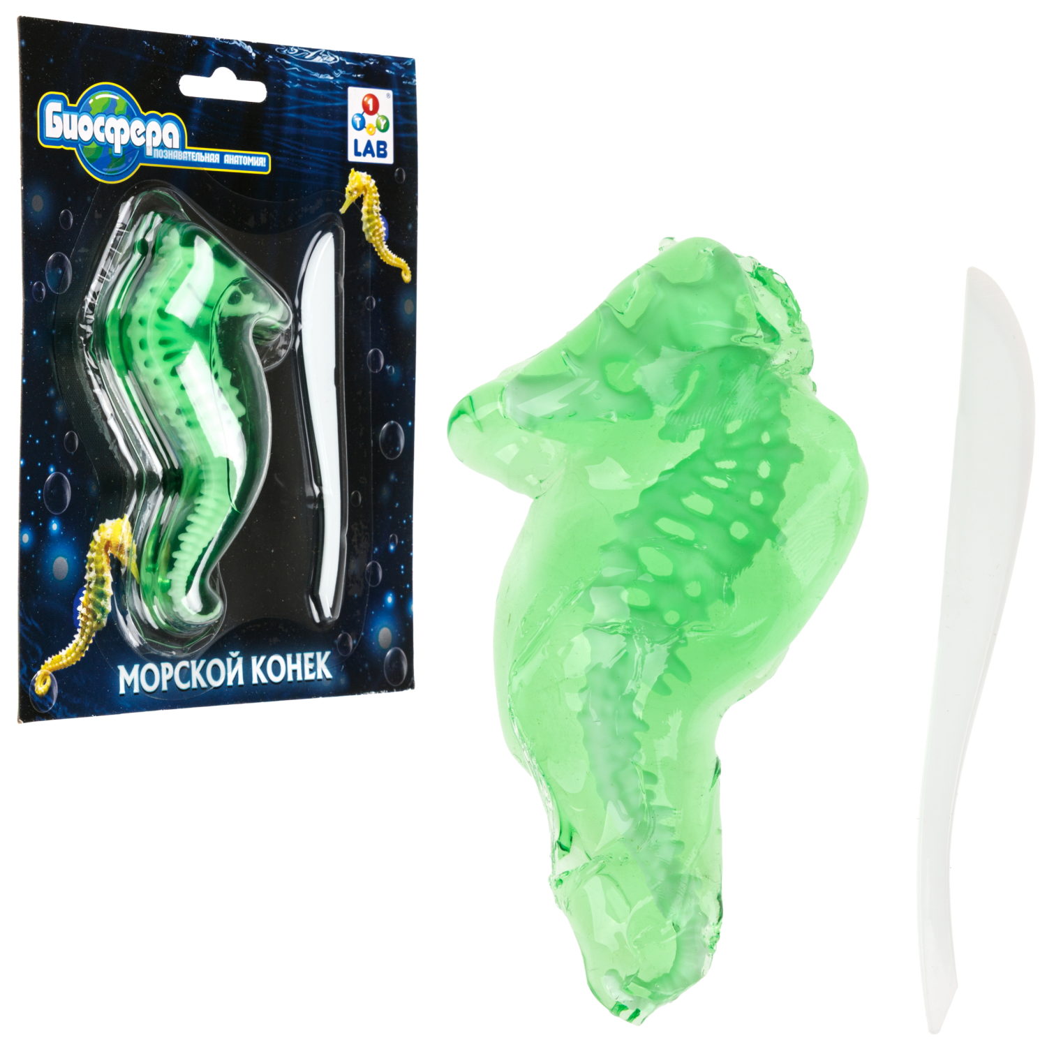 Игровой набор 1TOY LAB БИОсфера Познавательная анатомия Морской конек