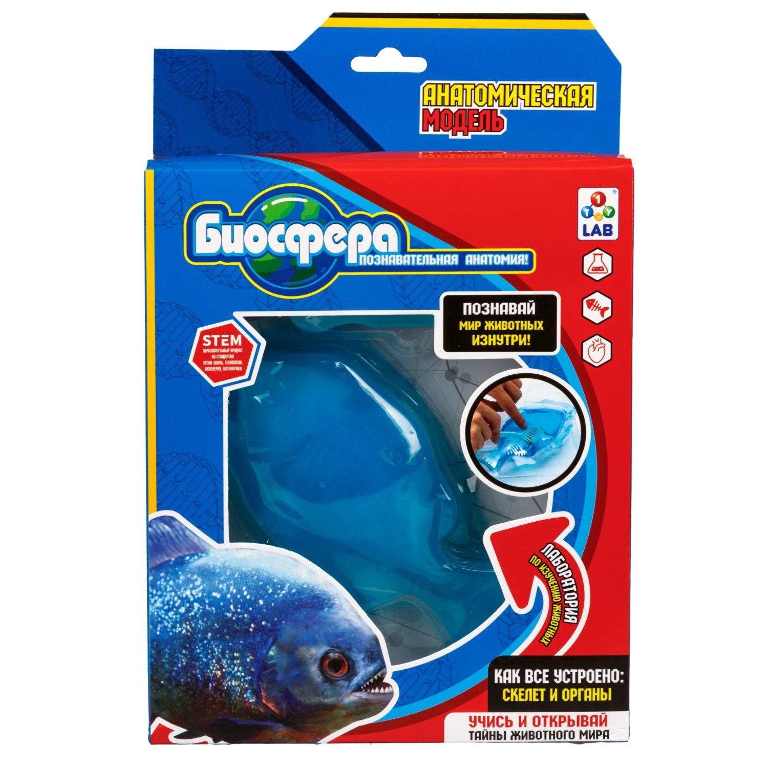 Игровой набор 1TOY LAB БИОсфера Познавательная анатомия Пиранья