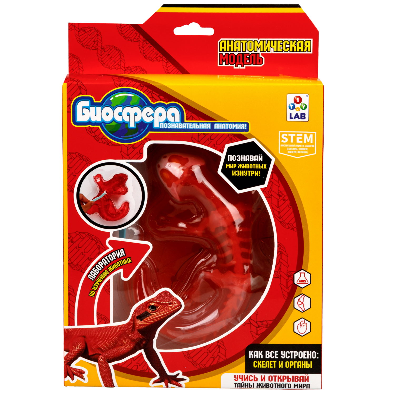 Игровой набор 1TOY LAB БИОсфера Познавательная анатомия Ящерица