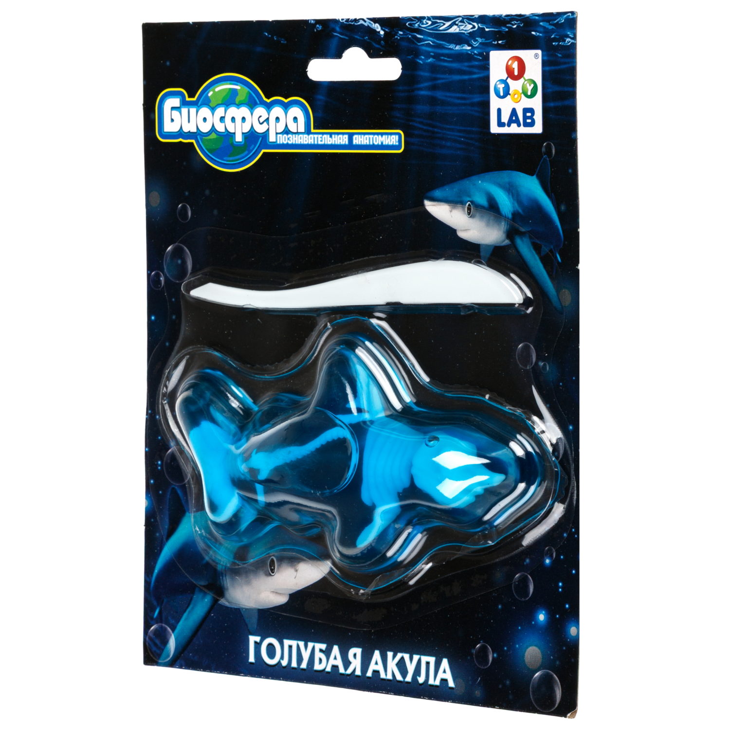Игровой набор 1TOY LAB БИОсфера Познавательная анатомия Голубая акула