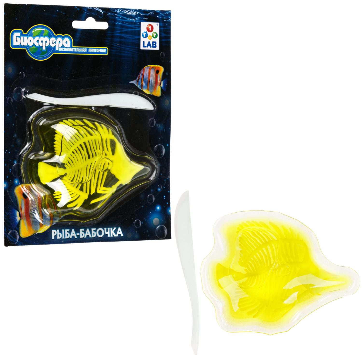 Игровой набор 1TOY LAB БИОсфера Познавательная анатомия Рыба-бабочка