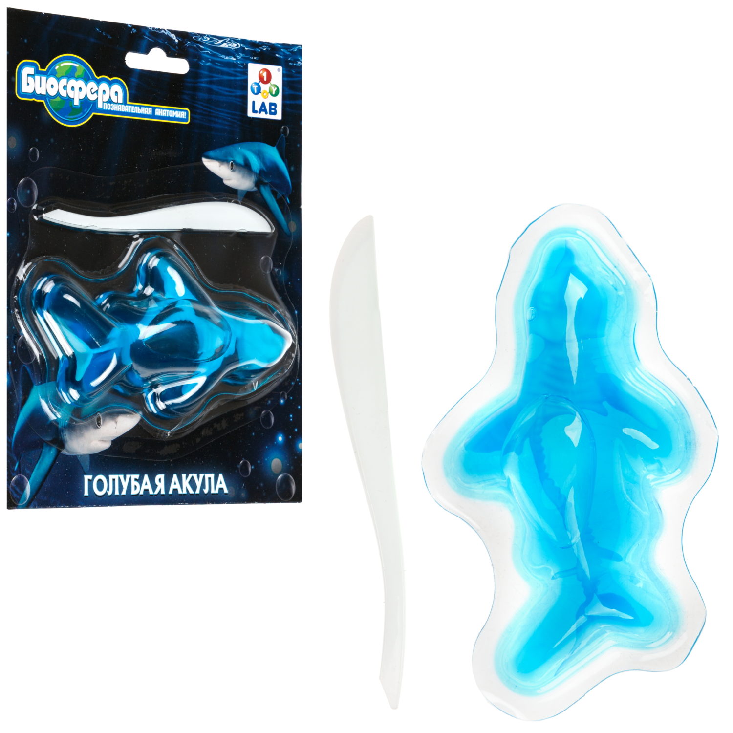 Игровой набор 1TOY LAB БИОсфера Познавательная анатомия Голубая акула