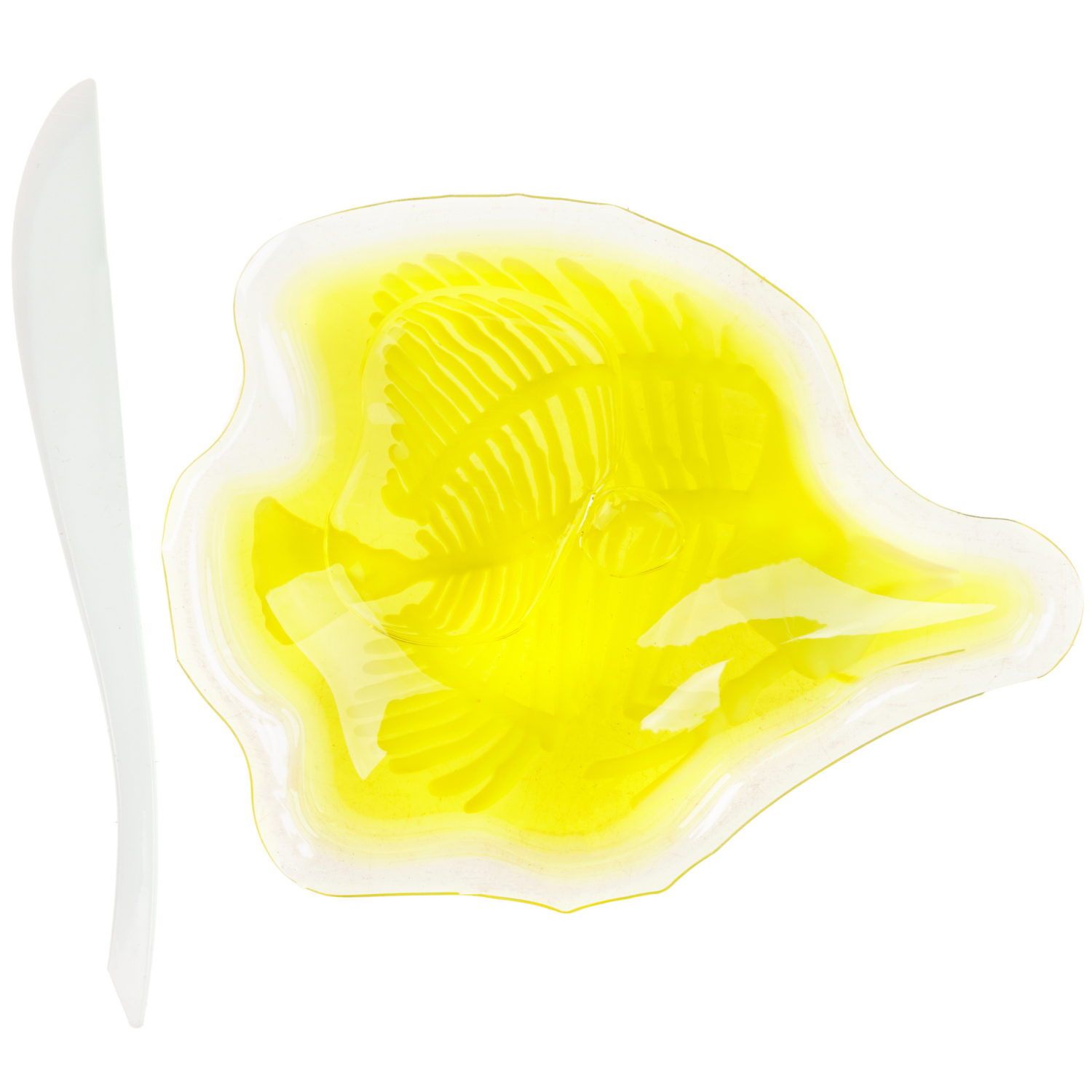 Игровой набор 1TOY LAB БИОсфера Познавательная анатомия Рыба-бабочка