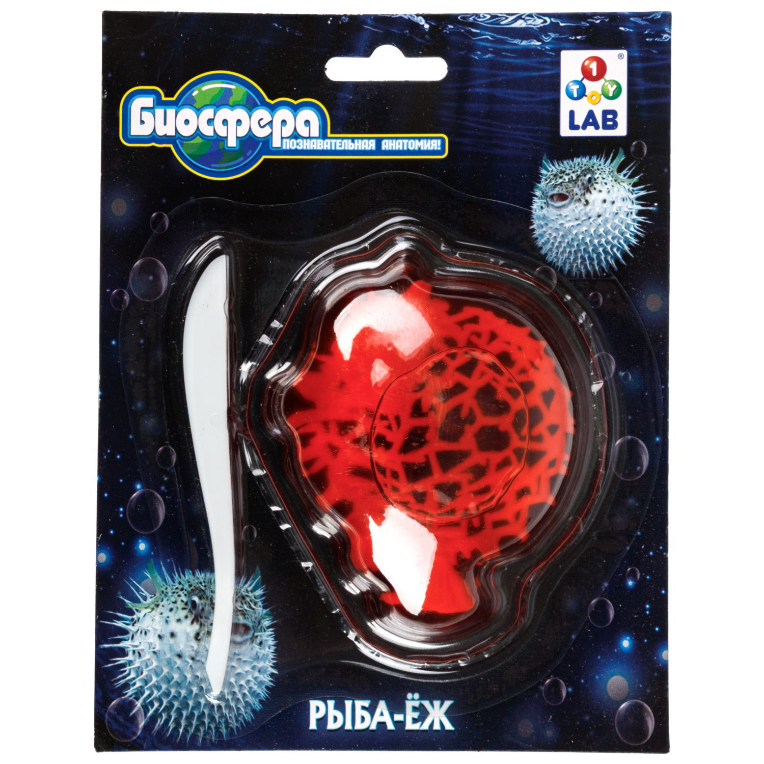 Игровой набор 1TOY LAB БИОсфера Познавательная анатомия Рыба-ёж