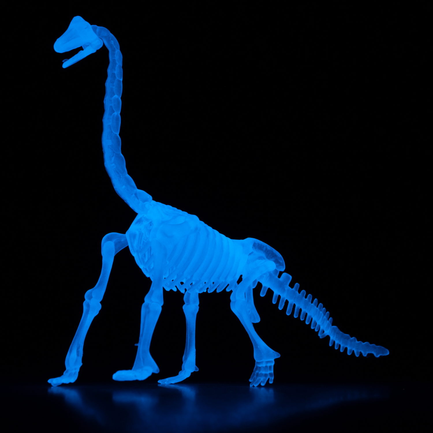 1toy "3DINO LUMINUS", люминесцентные динозавры, 6 видов, 12 шт/дисплей бокс