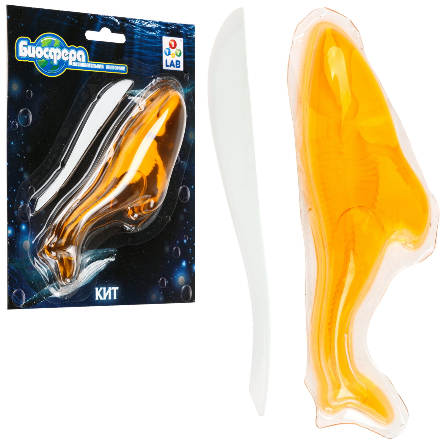 Игровой набор 1TOY LAB БИОсфера Познавательная анатомия Кит