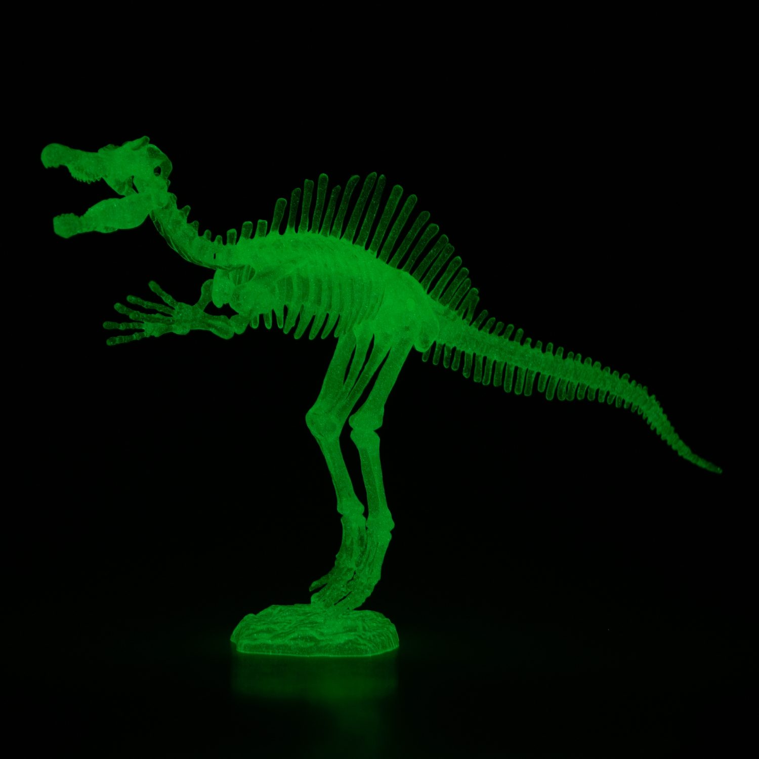 1toy "3DINO LUMINUS", люминесцентные динозавры, 6 видов, 12 шт/дисплей бокс