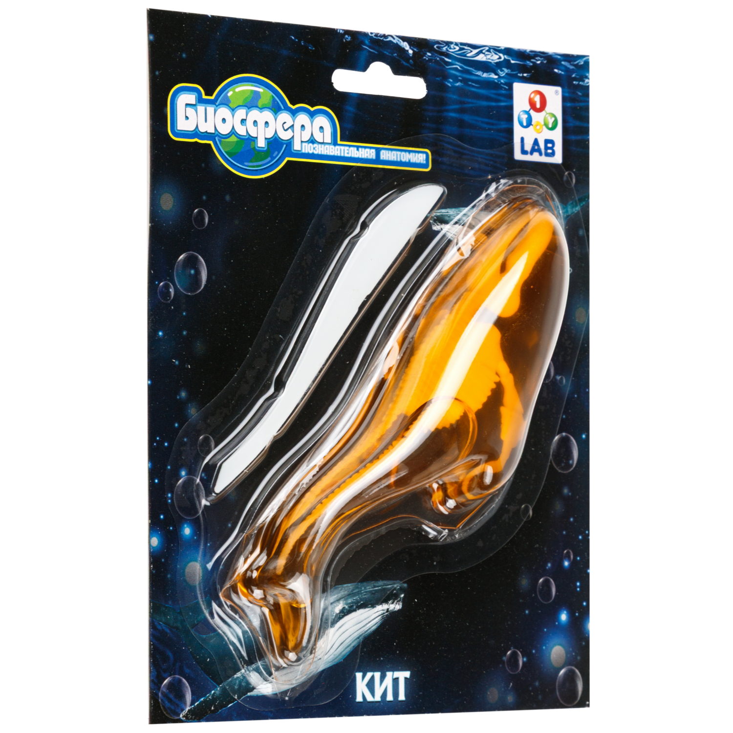 Игровой набор 1TOY LAB БИОсфера Познавательная анатомия Кит