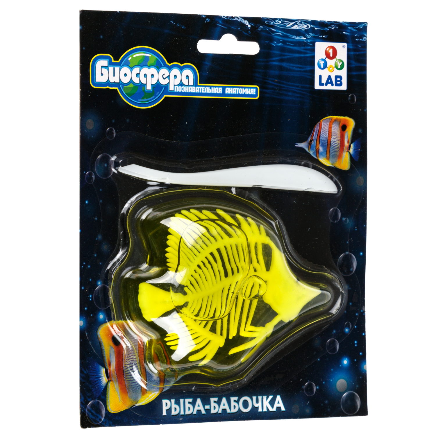 Игровой набор 1TOY LAB БИОсфера Познавательная анатомия Рыба-бабочка