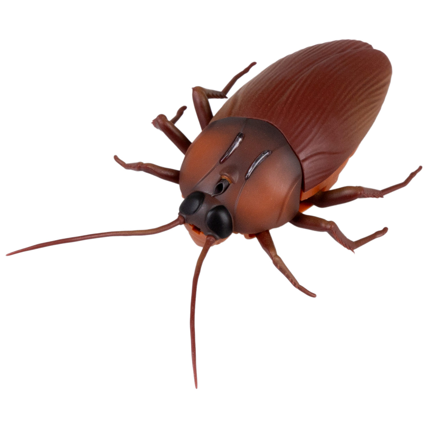 Интерактивная игрушка на батарейках 1TOY Robolife таракан